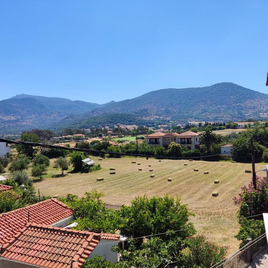 Hotel Ilion Pétra Kültér fotó