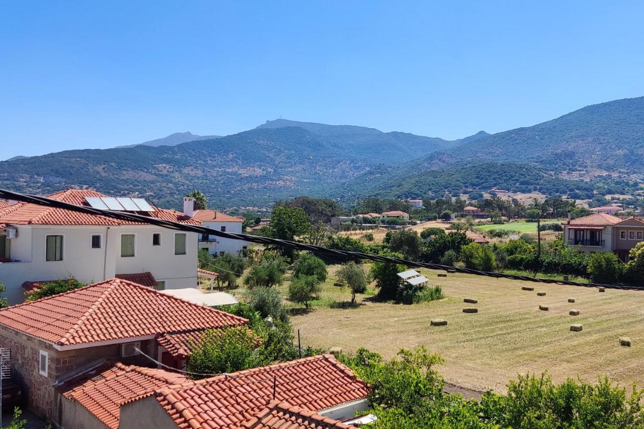 Hotel Ilion Pétra Kültér fotó